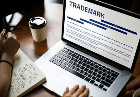 Trademark & privacy domain law advisory